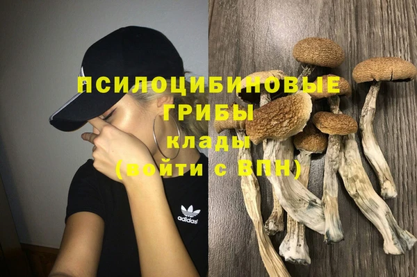ПСИЛОЦИБИНОВЫЕ ГРИБЫ Ветлуга
