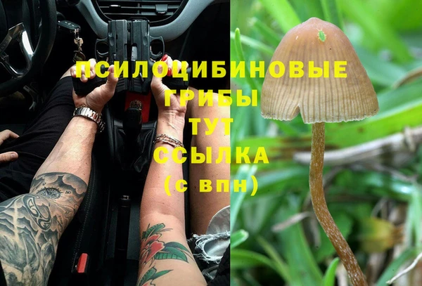 ГАЛЛЮЦИНОГЕННЫЕ ГРИБЫ Нея