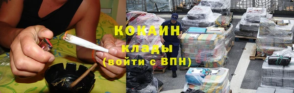 гидра Наволоки