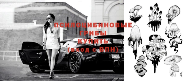 сатива Нефтегорск