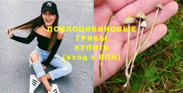 ГАЛЛЮЦИНОГЕННЫЕ ГРИБЫ Нея